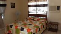 Rays Bed And Breakfast Hostel Кингстон Экстерьер фото