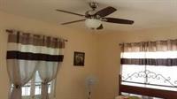 Rays Bed And Breakfast Hostel Кингстон Экстерьер фото